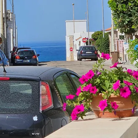 Lambert&luise * マリーナ・ディ・マンカヴェルサ